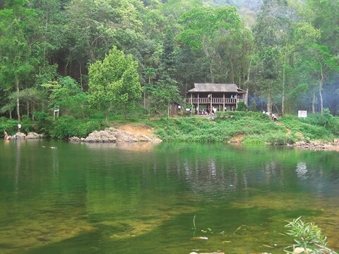 La liberté dans la forêt de Khe Ro - Bac Giang (150 km de Hanoi)